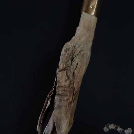 Seed of Syuro Ｃ