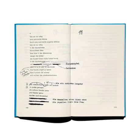 Hans Arp / Jan Tschichold Der gestiefelte Stern