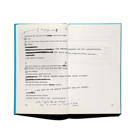 Hans Arp / Jan Tschichold Der gestiefelte Stern
