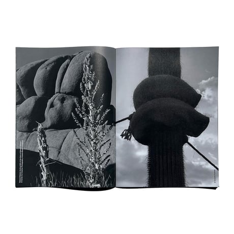 COMME des GARÇONS 2026 Summer Six New again 03-04
