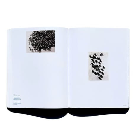 Anton Stankowski: Aspects of his Oeuvre