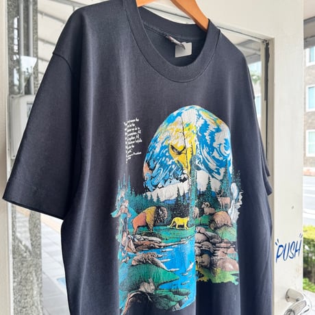 90’s SCREEN STARS BEST ネイティブアメリカンプリントTシャツXL