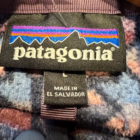 Patagonia ウィメンズ・マイクロD・スナップT