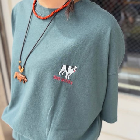 BIG DOGS ゴルフプリントTシャツ