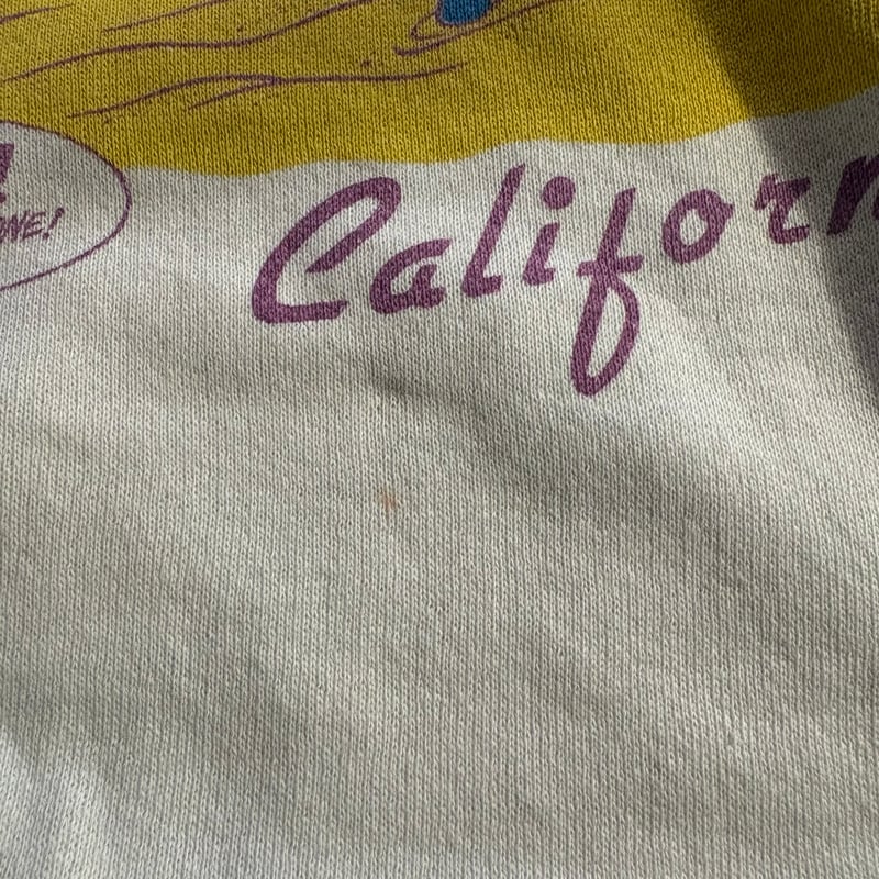 80s USA製 カリフォルニアレーズン ラグランスウェット | CUSTOM FEVER