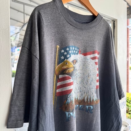 〜90’s Hanes “Eagle” プリントT Good fade! XXL