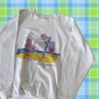 80s USA製 カリフォルニアレーズン ラグランスウェット