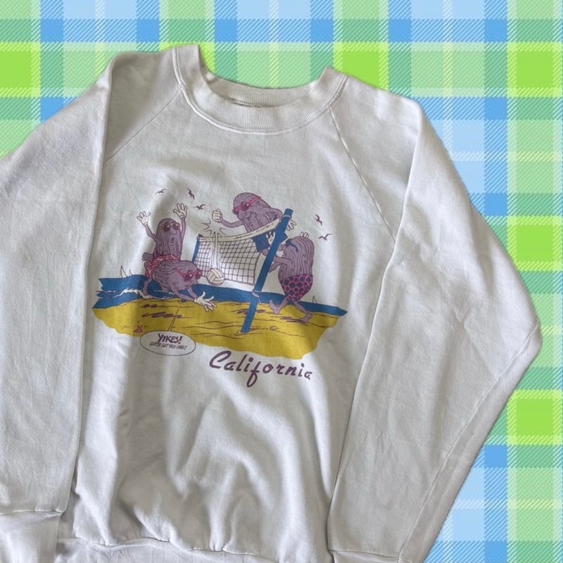 80s USA製 カリフォルニアレーズン ラグランスウェット | CUSTOM FEVER