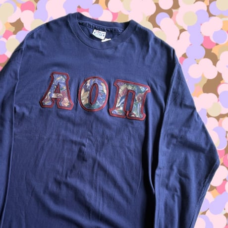 USA製 Hanes "AOΠ "カレッジロンT