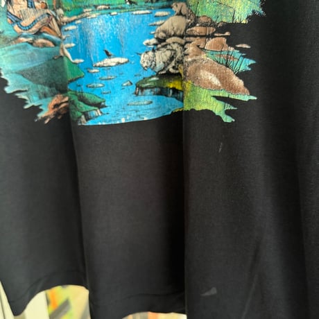 90’s SCREEN STARS BEST ネイティブアメリカンプリントTシャツXL
