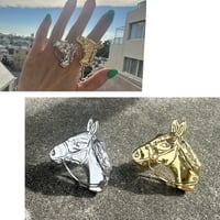 Horse ring