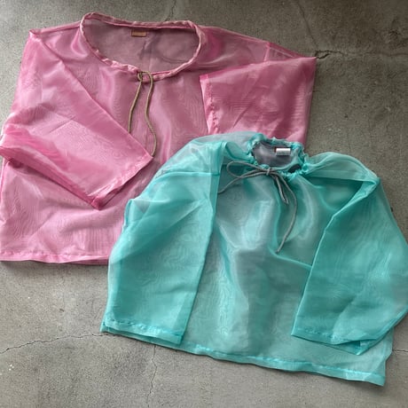 neon tetra top
