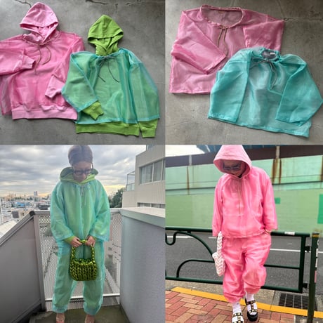 neon tetra top