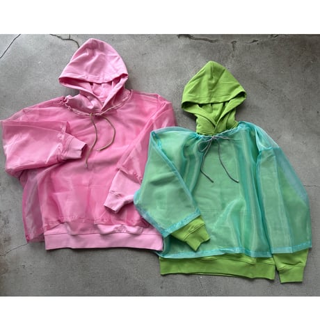 neon tetra top
