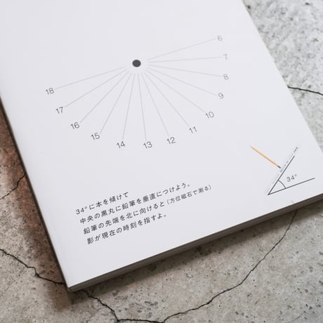 IN/SECTS vol.19「私たちの時間」（スペシャル特典付き）
