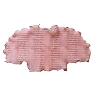 ONION NET TOPS