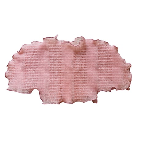 ONION NET TOPS