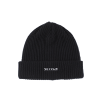 sulvam : Winter CAP