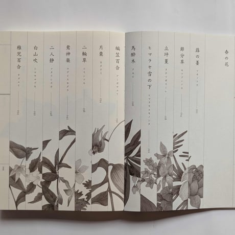 『野山花花図譜』（梨木香歩文・波多野光絵）＊Wサイン入り