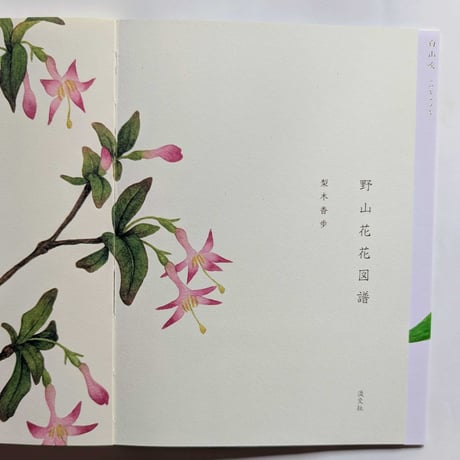 『野山花花図譜』（梨木香歩文・波多野光絵）＊Wサイン入り