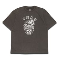 LIMITED / PALMTREE / 6.2 oz FADE WASH T-SHIRTS / GRAY