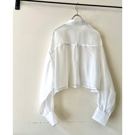 Balloon Sleeve Sheer Short Blouse