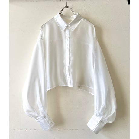 Balloon Sleeve Sheer Short Blouse