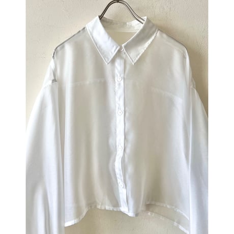 Balloon Sleeve Sheer Short Blouse