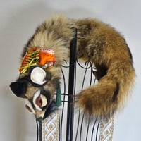 けものショルダー （タヌキ）