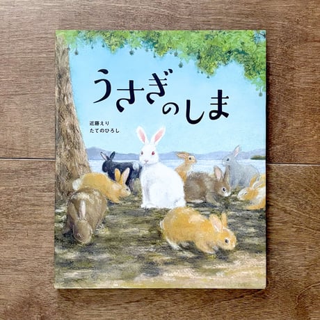 【予約受付中＊9月下旬発送】うさぎのしま（近藤えりさん＆たてのひろしさんダブルサイン入り）