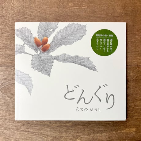 どんぐり