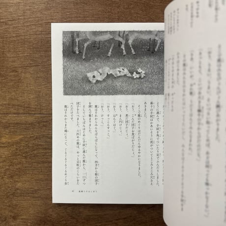 宮沢賢治童話集　グスコーブドリの伝記・春と修羅（序）など（日下明さんのサイン入りもあります）