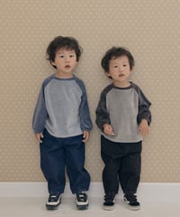 予約 The beige Velvet striped tee