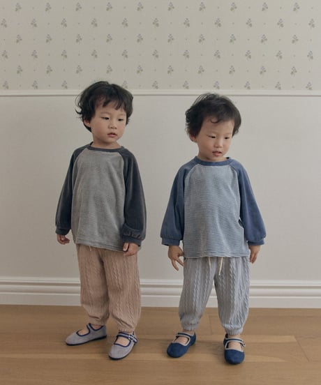 予約 The beige Velvet striped tee
