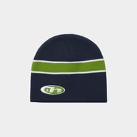 HUF WORLDWIDE "FREQUENCY SKULL BEANIE" 2COLORS