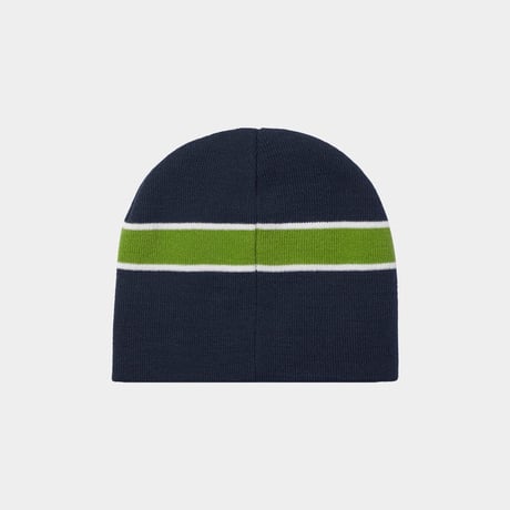 HUF WORLDWIDE "FREQUENCY SKULL BEANIE" 2COLORS