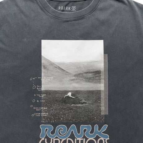ROARK "ELEVATED" WELL WORN L/S TEE