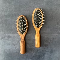 [KOSTKAMM]  Olive Wood Oval Hair Brush / 17.5cm / オリーブウッド  オーバル型ブラシ / 4527