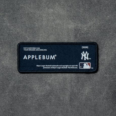 “NY YANKEES” DAMAGE T-SHIRT