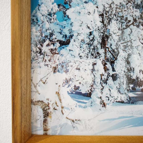 淡路健 West Side Snowscapes / B