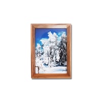 淡路健 West Side Snowscapes / B