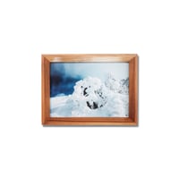 淡路健 West Side Snowscapes / A
