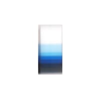 PRISM 立体アクリル作品『PLAY BLUE #2』