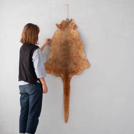 長い尾と豊かな毛並みが美しい カンガルーの毛皮ラグ/st.1488