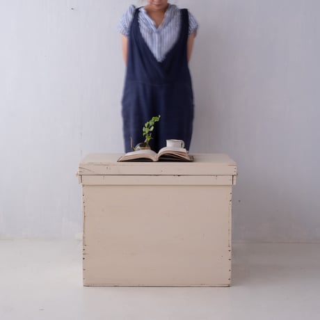 【特大サイズ】ガラスの取手付き ホワイトにリペイントした茶箱/st.1360