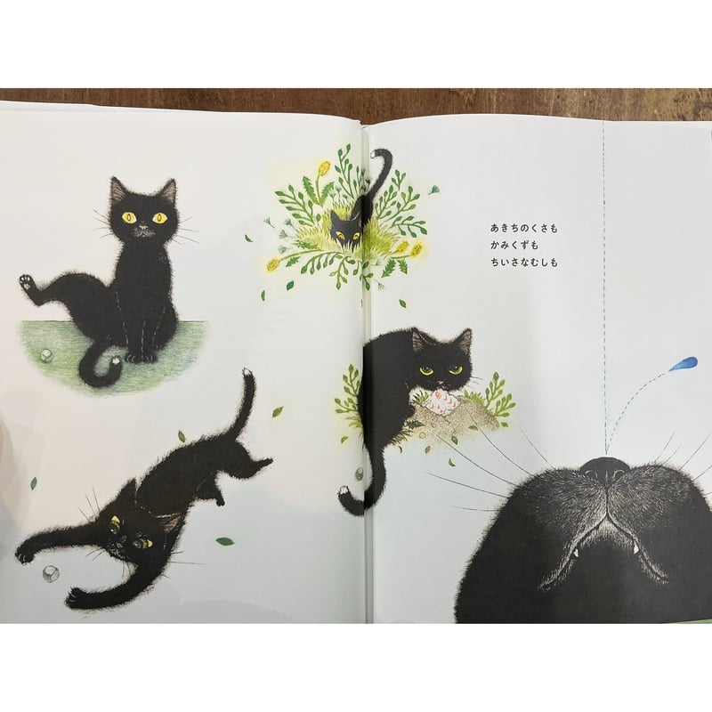 坂本千明／ぼくはいしころ ＊著者サイン入り | Title WEB SHOP