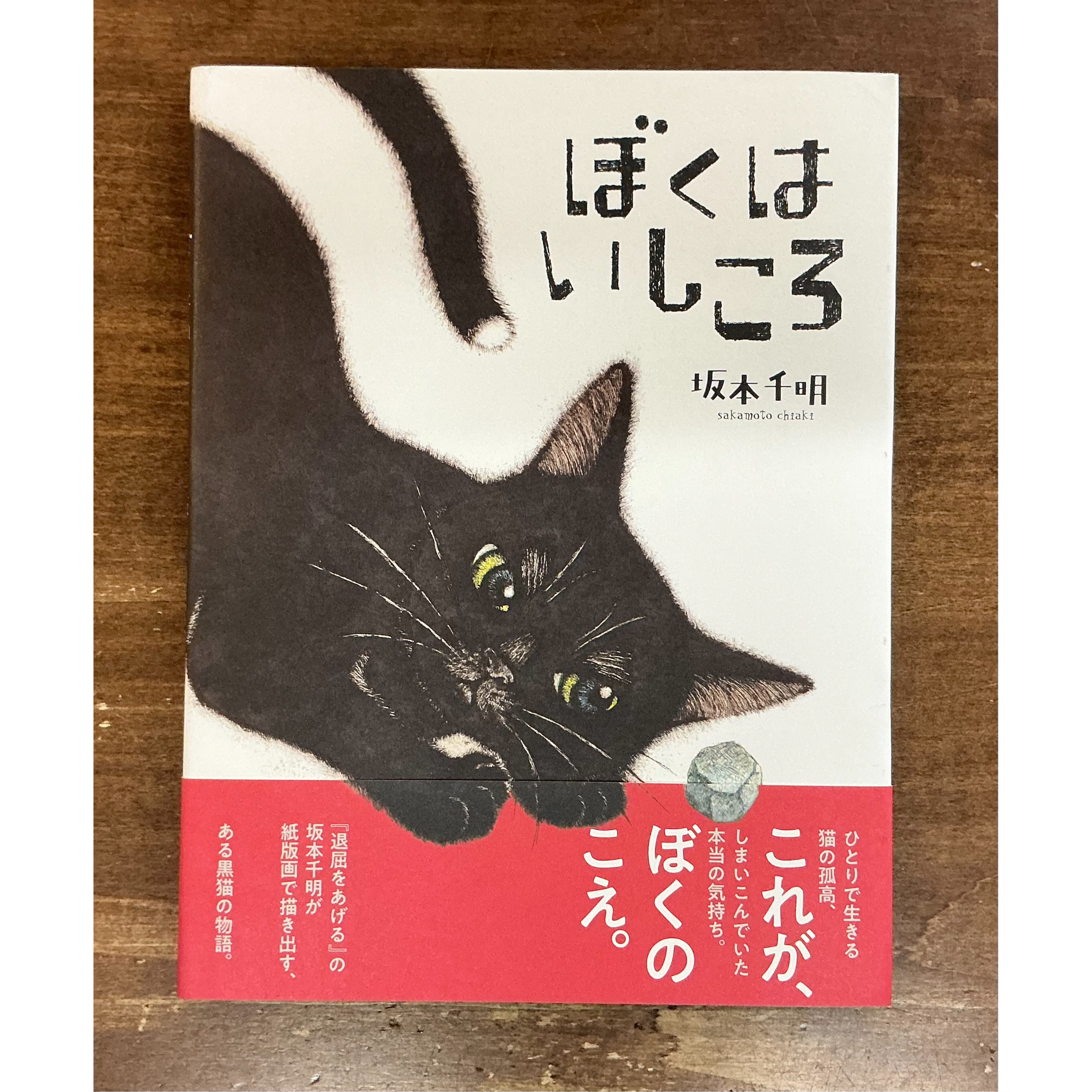 坂本千明／ぼくはいしころ ＊著者サイン入り | Title WEB SHOP