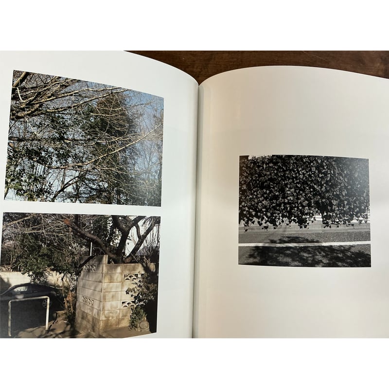 佐内正史／復刊 生きている | Title WEB SHOP