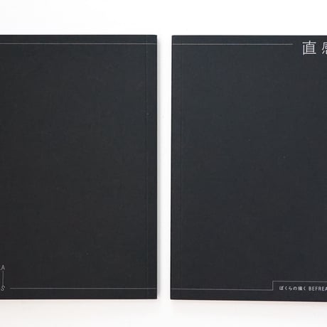 ZINE 『直感と連鎖 ぼくらの描く BEFREA CIRCUS』