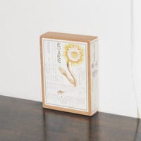 『花の文化史 花の歴史をつくった人々』/ 春山行夫